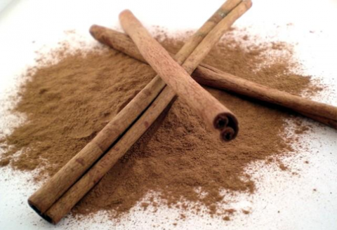 Škorica a jej účinky na zdravie: prečo sa oplatí mať ju doma